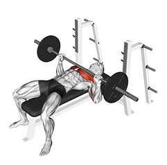 Bench Press