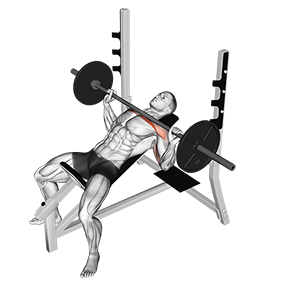 Press banca declinada con barra  Lower chest workout, Workout guide, Chest  workouts