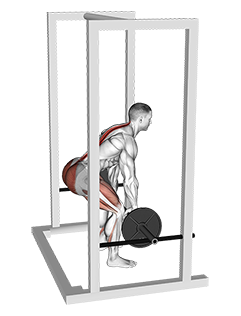 Barbell Rack Pull