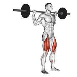 Rear Lunge