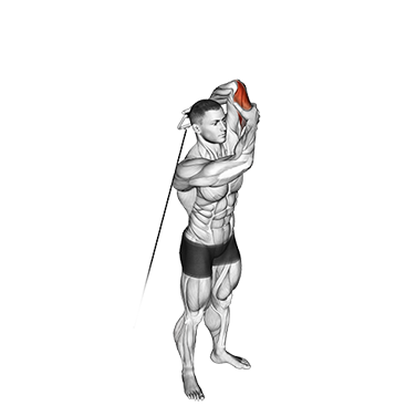 Alternate Triceps Extension