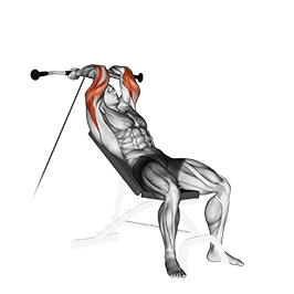 The Overhead Triceps Extension 101