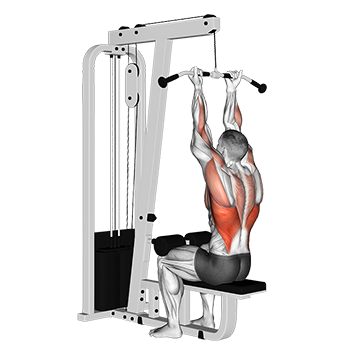 Reverse-grip Straight Back Seated High Row