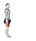 Dumbbell Lunge