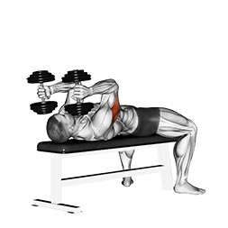 Lying Triceps Extension