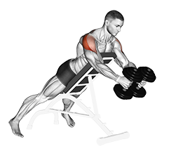 Dumbbell Reverse Fly