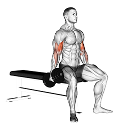 dumbbell seated curl