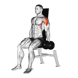 seated dumbbell lateral raise
