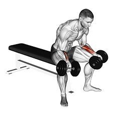 Seated Dumbbell Pull Ups by David O. - Exercise How-to - Skimble
