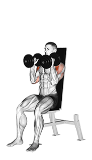Dumbbell Seated Shoulder Press