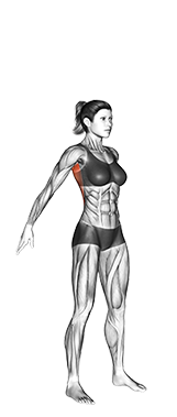 Dynamic Back Stretch