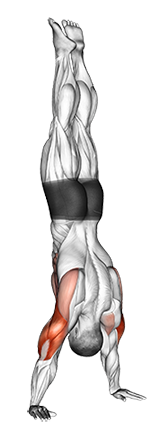 Handstand Push-Up