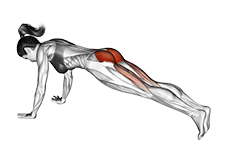 Hip Extension Stretch