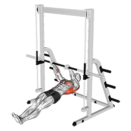 Inverted Row