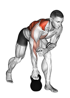 Kettlebell One Arm Row