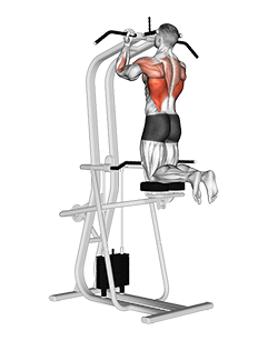 Lever Assisted Chin-Up