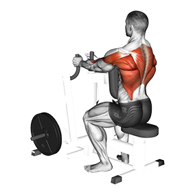 https://apilyfta.com/static/GymvisualPNG/05881101-Lever-Narrow-Grip-Seated-Row-(plate-loaded)_Back_small.png