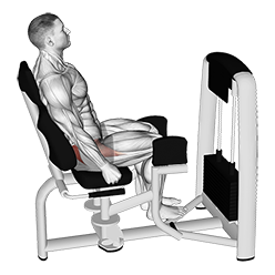 Lever Seated Hip Abduction
