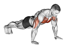 Push-Ups