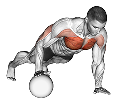 Push-Up Medicine Ball
