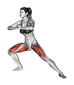Side Lunge Stretch