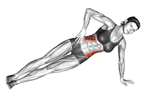 Side Plank Hip Lifts | Illustrated Exercise Guide
