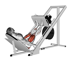 Sled 45┬░ Leg Press