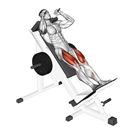 SELEWARE Support De Squat Nordique – Acier – 6 Hauteurs – Compatible Racks 2x2 – Revêtement Cuir Anti-transpiration