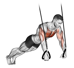 Suspended Push-Up