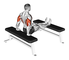 Triceps Dip