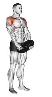 Weighted Front Raise