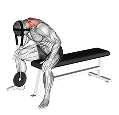 Cable Seated Neck Flexion With Head Harness » Workout Planner
