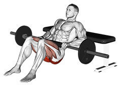 Hip Thrust