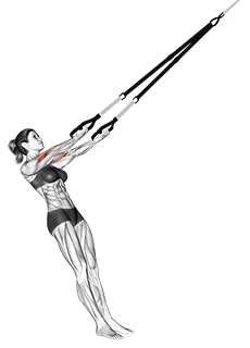 Suspension Arm Curl