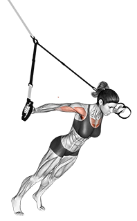 Suspension Fly