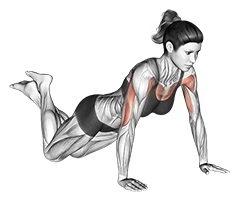 Push-up
