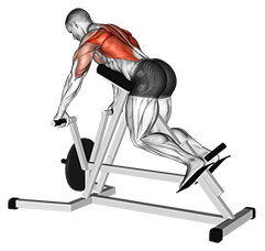 Lever Lying T-bar Row