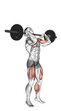 Push Press