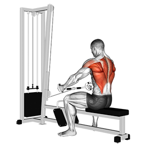 How to do a seated row 