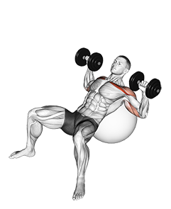 Chest exercises incline push up flat design Vector Image