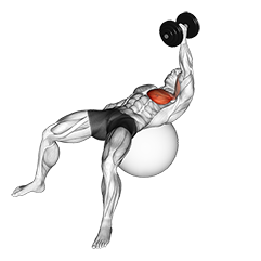 Incline one-arm dumbbell fly exercise instructions and video