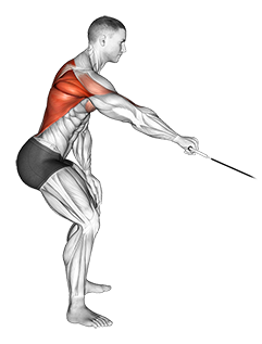 Cable Palm Rotational Row - Video Guide