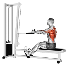 Rope Seated Row