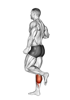 One Leg Floor Calf Raise