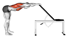Back Pec Stretch
