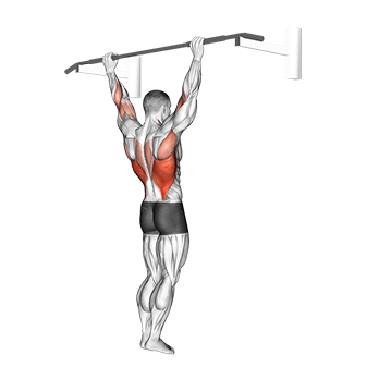 Wide Grip Pull-Up - Video Guide