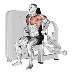 Lever Seated Dip