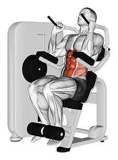 Lever Seated Crunch