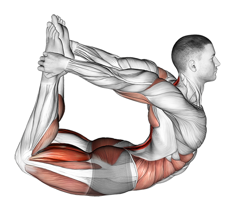 What Are Core Strengthening Workouts? How May They Help You? | Clovia Blog