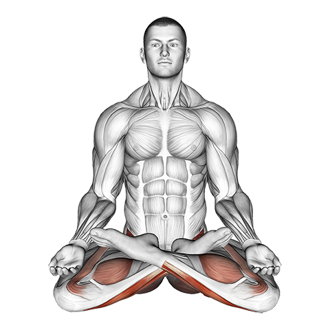 Benefits of Padmasana (Lotus Pose) With Step To Do